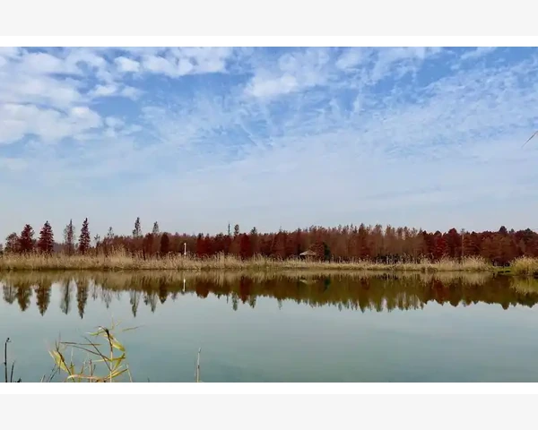 为什么瓜类蔬菜属于湿热食物